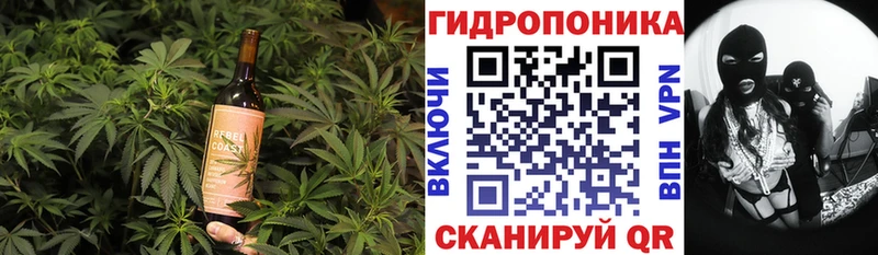Canna-Cookies конопля  blacksprut рабочий сайт  Троицк  хочу наркоту 